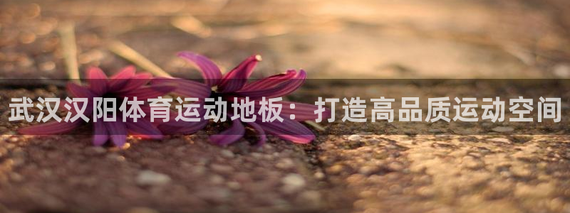 88体育网页版入口最新版：武汉汉阳体育运动地板：打造高品质运动空间