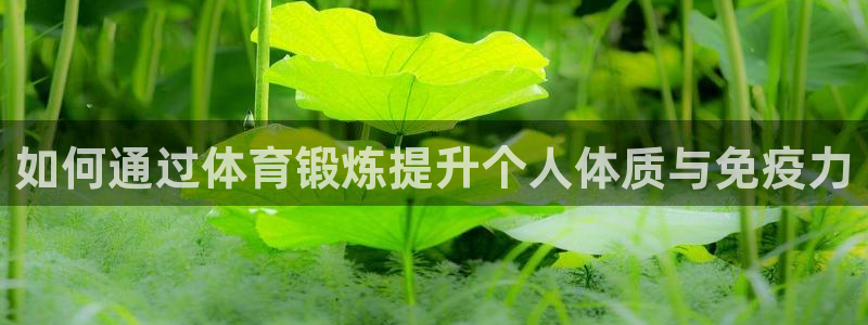 88体育平台：如何通过体育锻炼提升个人体质与免疫力
