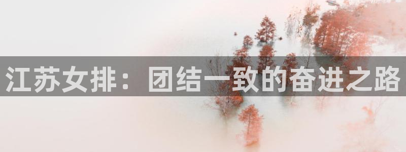 热博rb88体育官网：江苏女排：团结一致的奋进之路