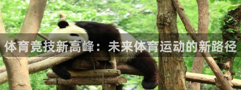 88体育苹果版：体育竞技新高峰：未来体育运动的新路径
