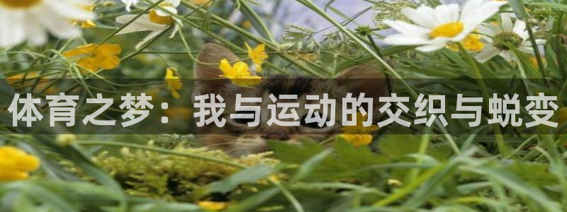 88体育vip新渠道入口：体育之梦：我与运动的交织与蜕变