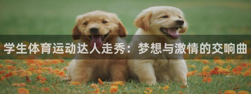 88体育在线看球：学生体育运动达人走秀：梦想与激情的交响曲